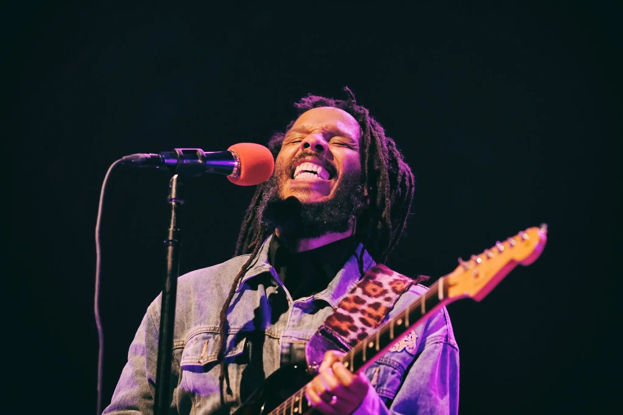 ziggy marley